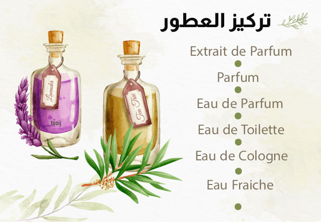 تركيز
